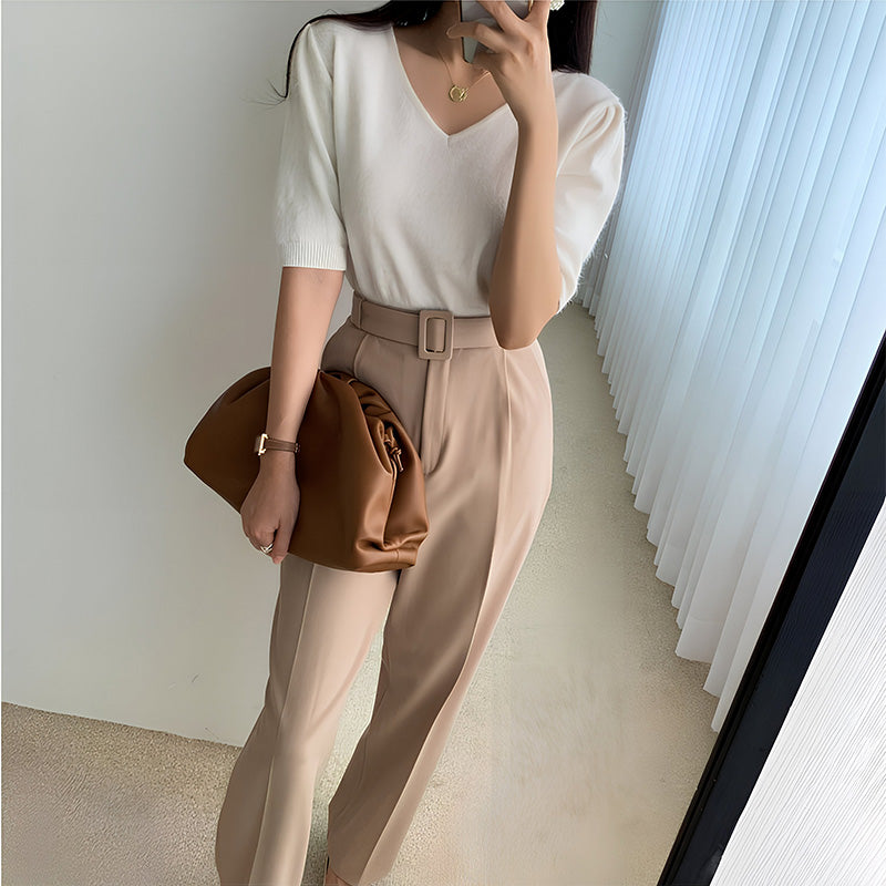Fashionable brown cloud purse with pleated body and wide opening